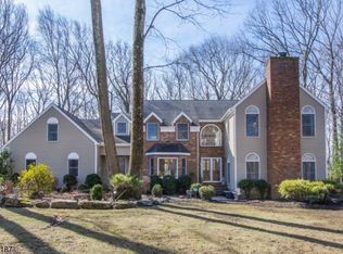 4 El Shaer Ct, Randolph, NJ 07869