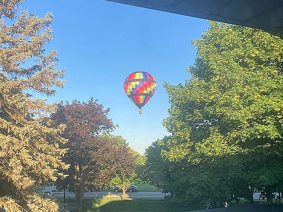 Watch from bedroom window!