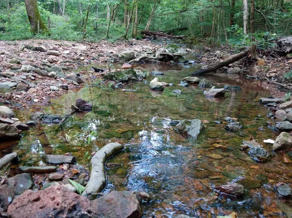 000 South Road/Lot 27 Srhe, Eminence, MO 65466