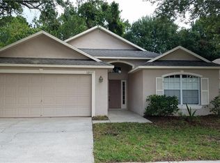 12517 Sparkleberry Rd, Tampa, FL 33626