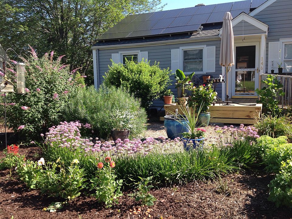 Designer perennial garden