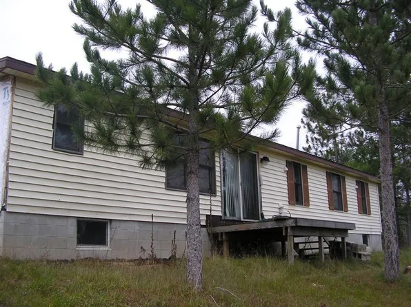 15860 Riverside Trl, Wolverine, MI 49799