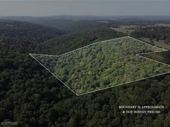 17659 S Skylight Mountain Rd, Canehill, AR 72717