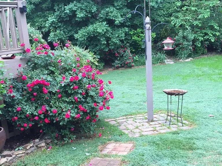 2501 Becketts Ridge Dr — Photo 19