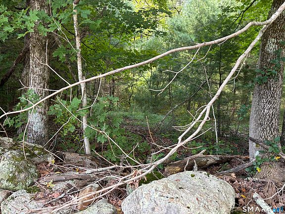 4th image of Rindge Road
