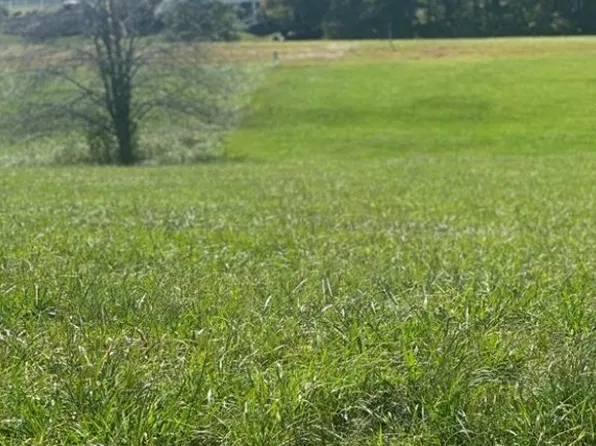 Lot 206 Canterbury Drive, North Wilkesboro, NC 28659