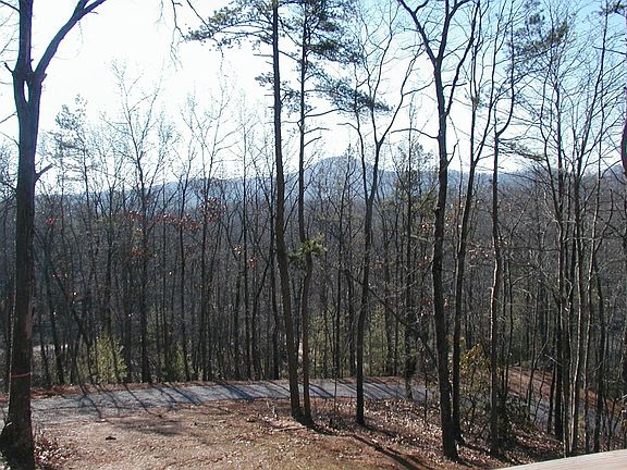 Winter Mountain View