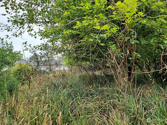 2nd image of 642 NE Duck Lake Drive