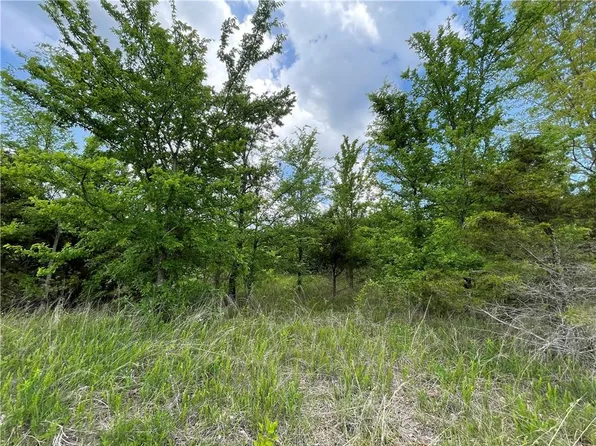 Posy Mountain Drive Drive 319 Lot 319, Garfield, AR 72732