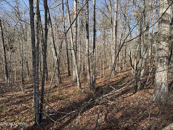 2nd image of 0 Belmont Cir Lot 43