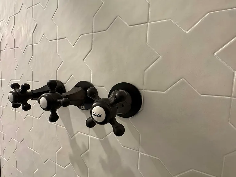 Shower Detail 1