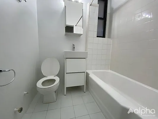 Rented by Alpha Properties NYC I LLC | media 12