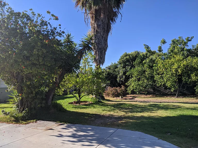1212 S Mayflower Ave — Photo 25