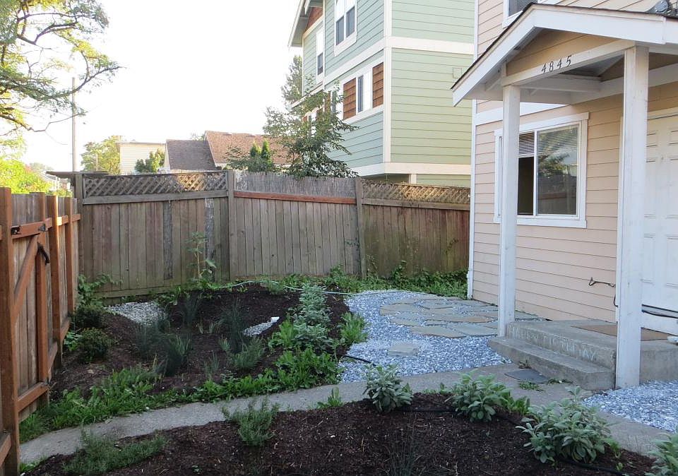This is an old photo, the rain garden has matured and grown a ton since this installation!
