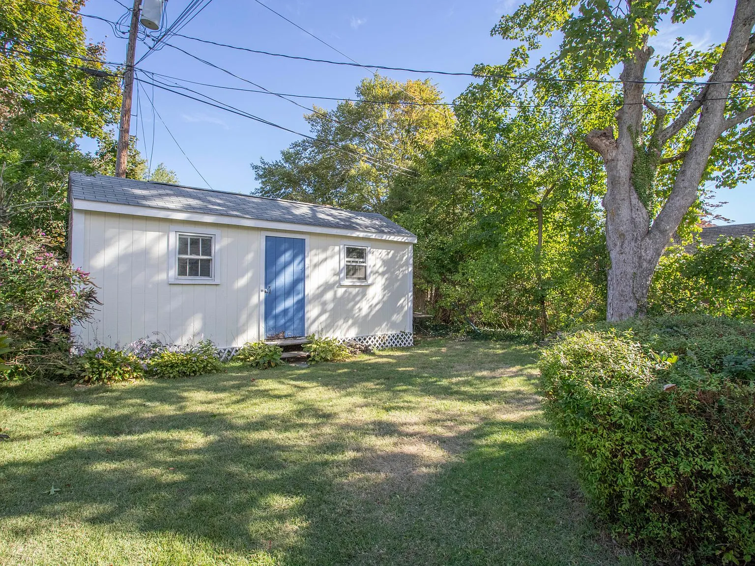 1 bed, 536 sqft, $1,700 — Photo 4