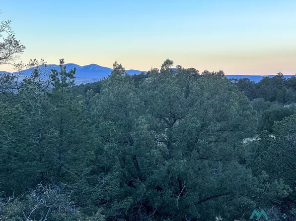 Camino De Viento, Silver City, NM 88061