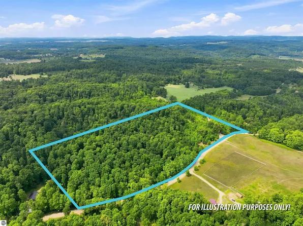 S Hill Rd, Cedar, MI 49621