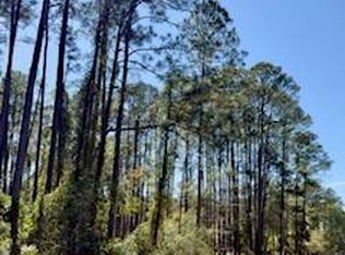 251 GEORGETOWN DENVER Road, Georgetown, FL 32139