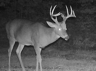 17595 Hibner Rd, Atlanta, MI 49709