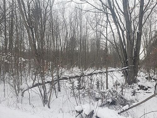 2nd image of 34th Ave
