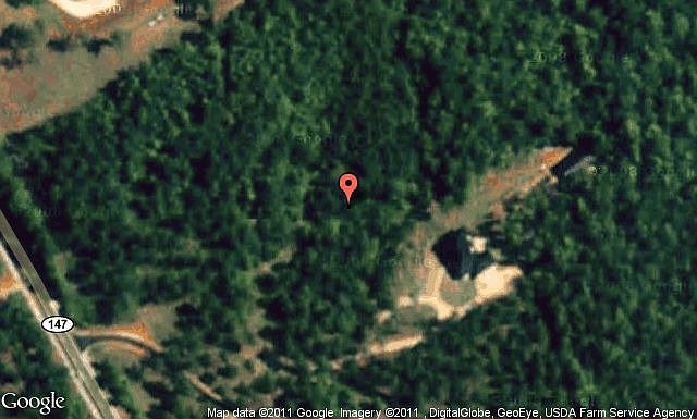 Map View