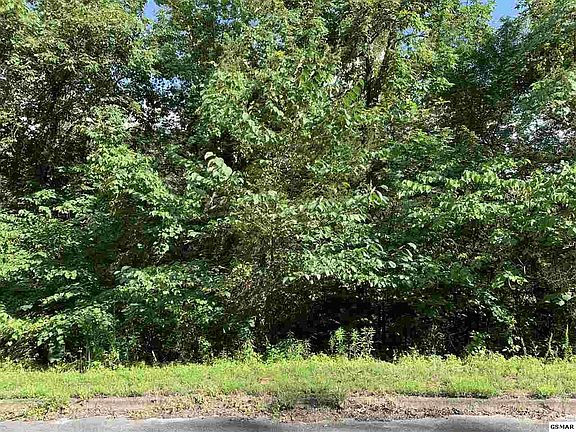 2nd image of LOT 55 Oak Lake Dr