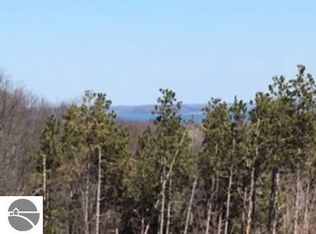 6547 E Hoxie Rd, Cedar, MI 49621