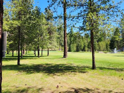 LOT 4 Couples Ct, Chewelah, WA, 99109