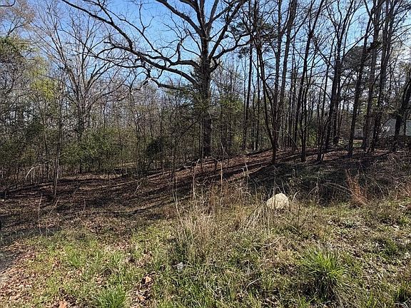 3rd image of 0 Winnsboro Rd