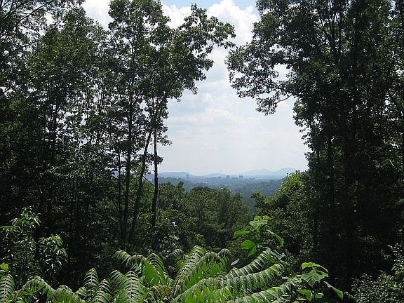 Trees frame the views