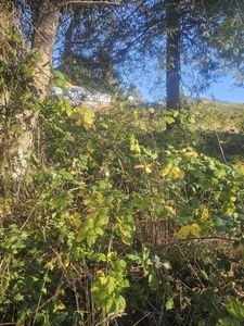 Tl2100 Seattle Ave, Bay City, OR, 97107