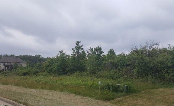 3rd image of 10158 Quarry View Ln