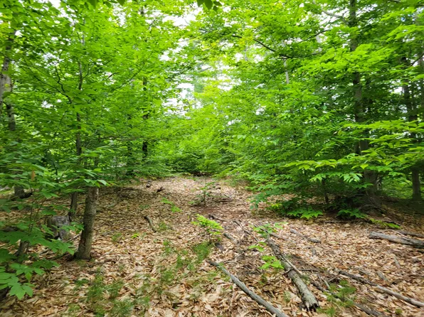 Lot #8 Thurston Road, Brownfield, ME 04010
