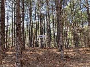 1 Tilly Branch Rd, Northport, AL 35475