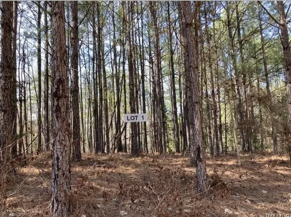 1 Tilly Branch Rd, Northport, AL 35475