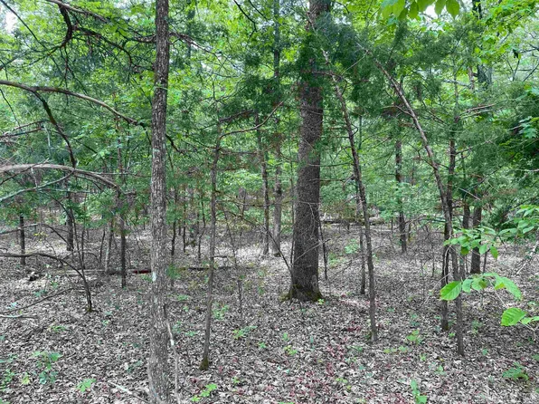 0 McIntire Ln, Mountain View, AR 72560