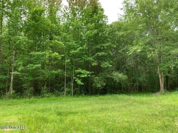 5664 Highway 80, Pelahatchie, MS 39145