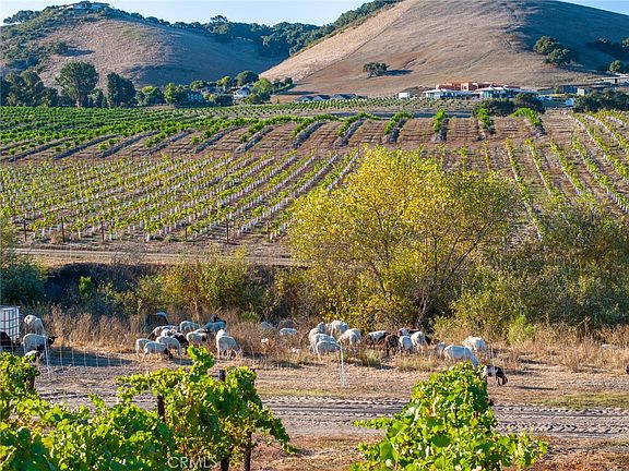 5th image of 5502 Los Ranchos Rd #14