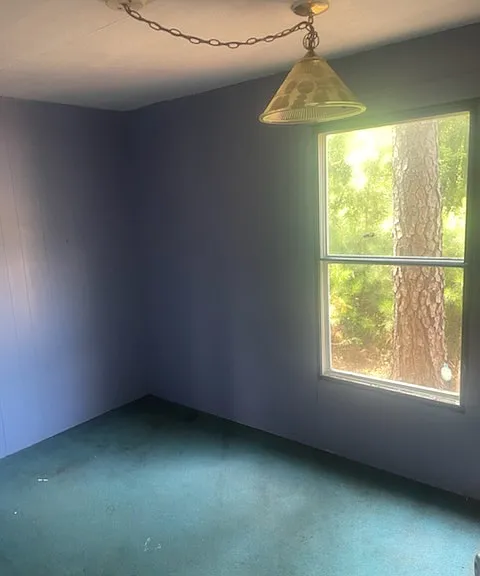 127 Emily St — Photo 4