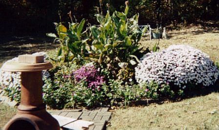 Back Yard Fall Flower Bed