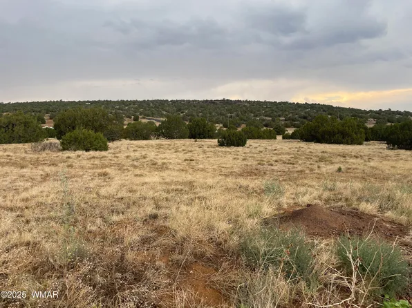 67 Hickory Ln, Concho, AZ 85924