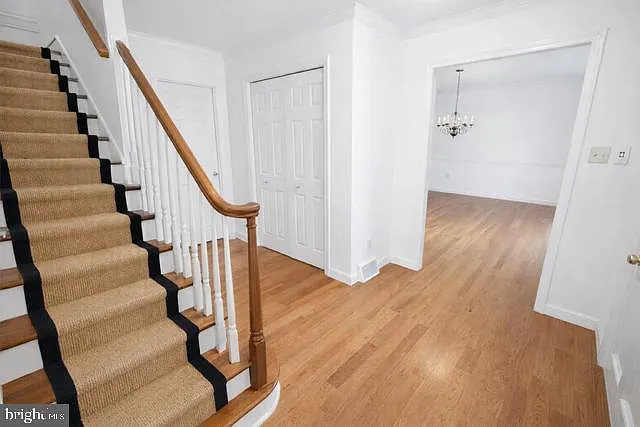 402 Norwood Rd — Photo 10
