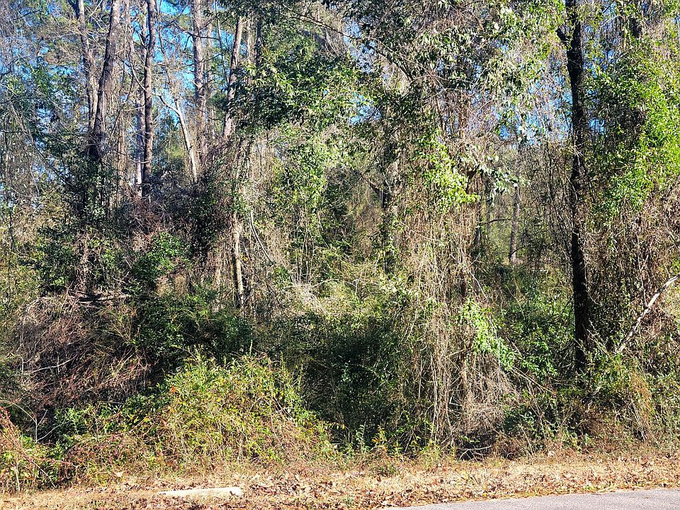 2nd image of 202 Delta Dr E