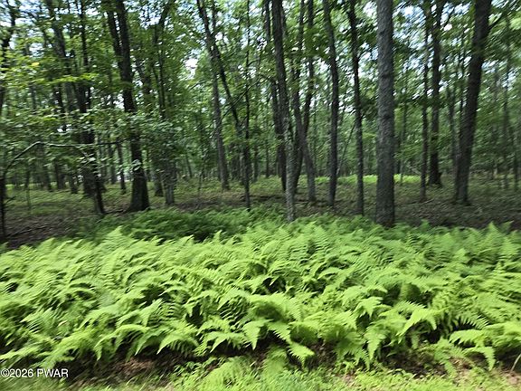 3rd image of LOT 17 Woodledge Hills Dr