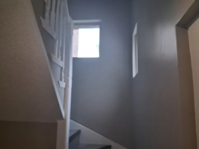 317 Morris St — Photo 10