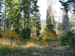 LOT Six Carmel View Ln, Cle Elum, WA 98922