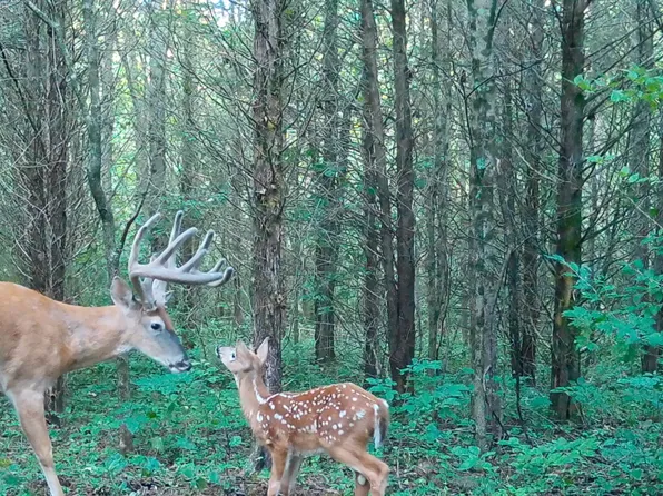 3389 State Highway 43 Hwy, Spencer, IN 47460