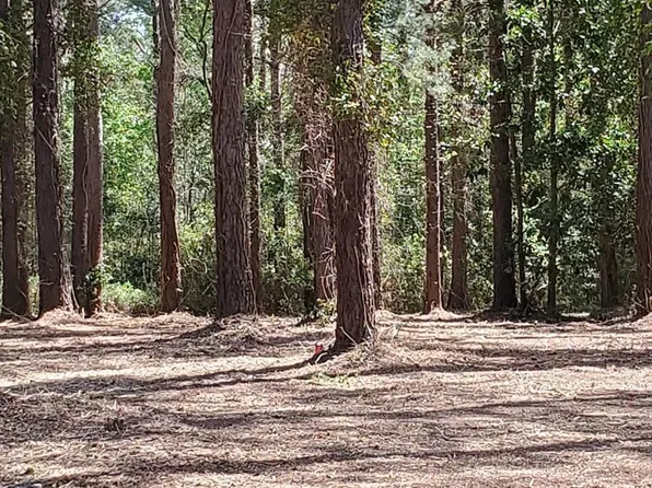 LOT 9 Forest Lake Dr, Manning, SC 29102