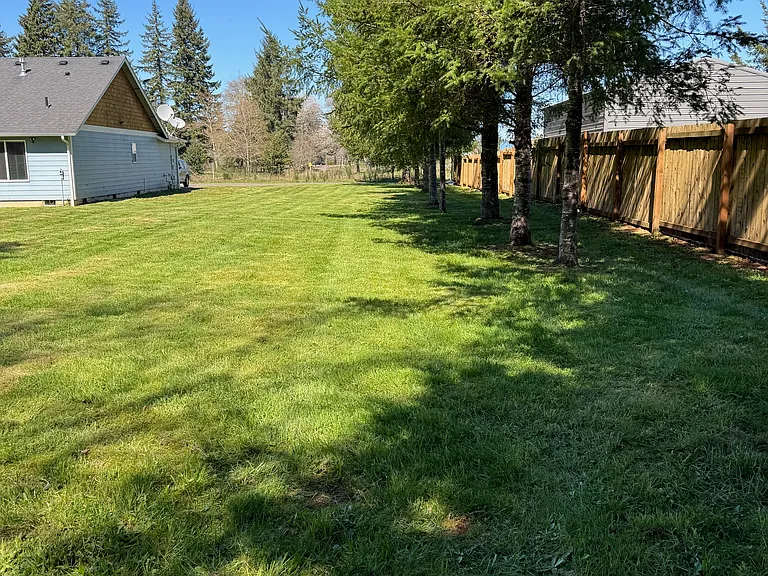 back side yard