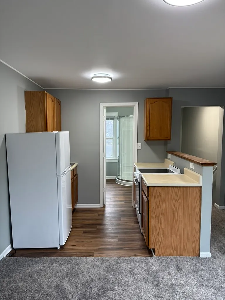 Studio, 250 sqft, $750 — Photo 3